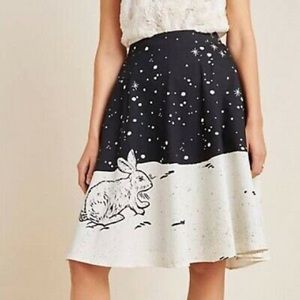 Anthropologie coreylynncalter  Winter Skirt